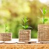 Let us help you grow your business